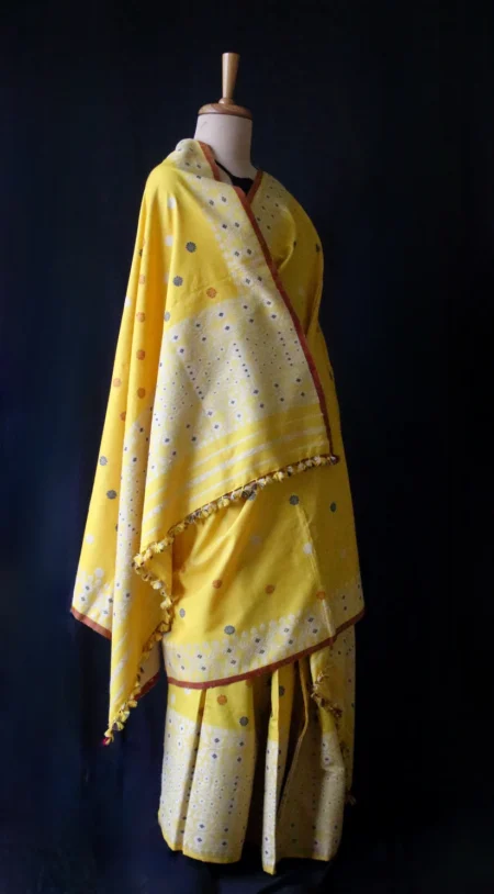 Nooni Pat Mekhela Chador