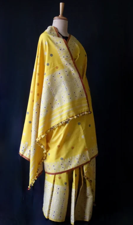 Nooni Pat Mekhela Chador