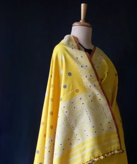 Nooni Pat Mekhela Chador